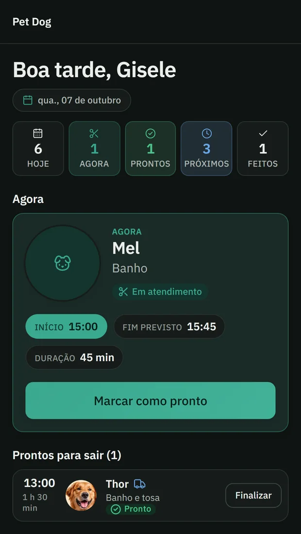 Tela Meu dia da profissional, com o pet em atendimento e o botão Marcar como pronto